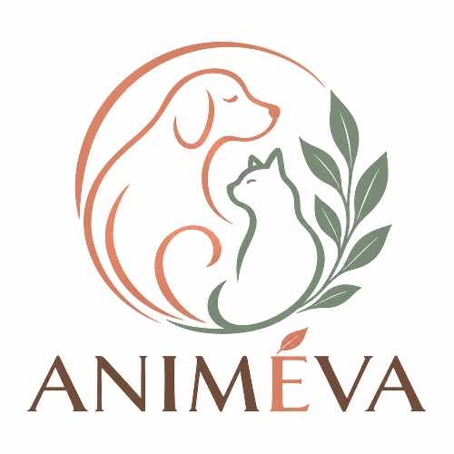 Animéva